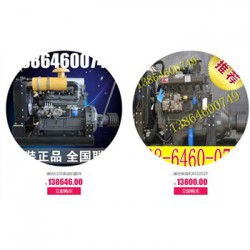 山东潍坊ZH4100D高压油泵,发动机高压油泵