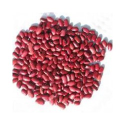 廊坊专业的红芸豆供应商，榆林批发红芸豆价