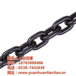 十堰起重链条,泰安鑫洲机械公司,起重链条制