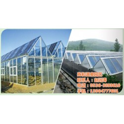 泰安太阳能温室,鑫和温室园艺,太阳能温室大