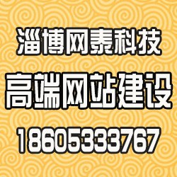 淄博网泰科技(图),张店专业网站建设,淄博网